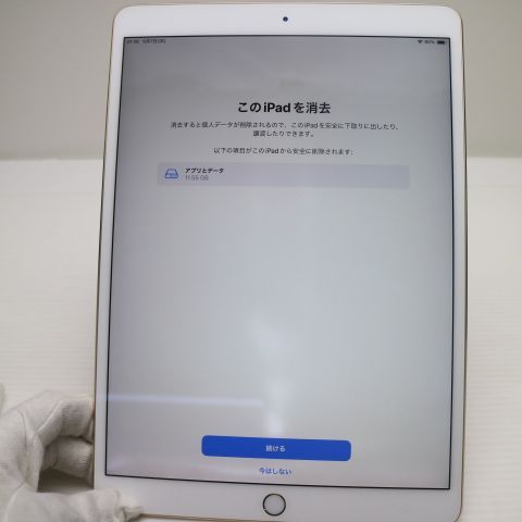 �¿��ݾ� Ķ���� iPad Pro 10.5����� Wi-Fi 256GB ������� ����