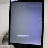 �¿��ݾ��� ���� iPad mini 2 Retina Wi-Fi 64GB ���ڡ������쥤  ���