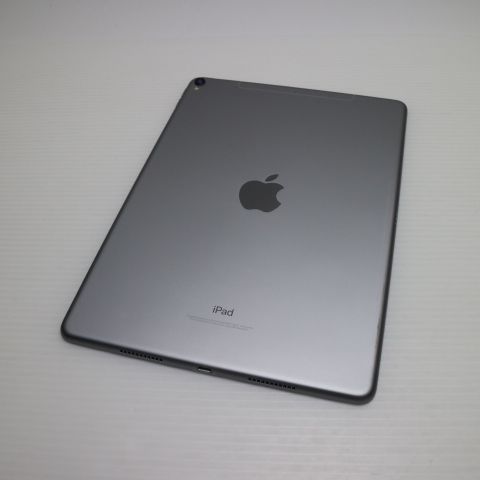 Ķ SIMե꡼ iPad Pro 10.5 256GB ڡ쥤