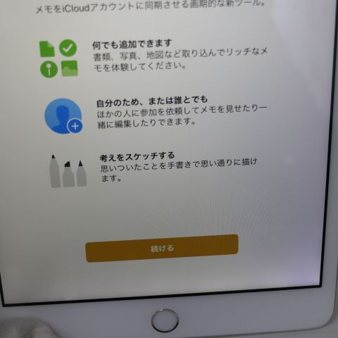 �¿��ݾ��� Ķ���� docomo iPad mini 3 ����顼 16GB ����С�