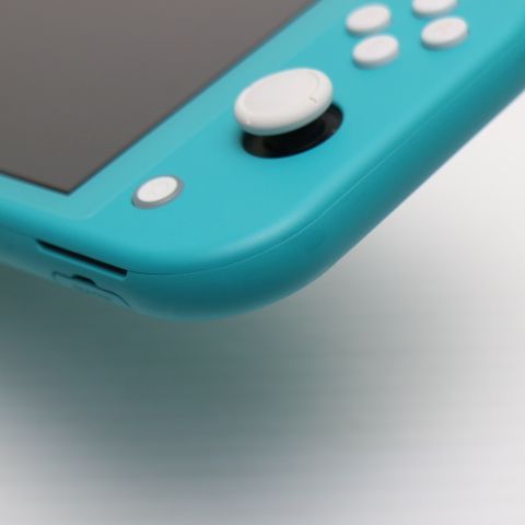 �¿��ݾ� Ķ���� Nintendo Switch Lite ����������