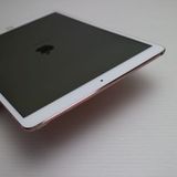 �¿��ݾ� Ķ���� iPad Pro 10.5����� Wi-Fi 64GB �������������