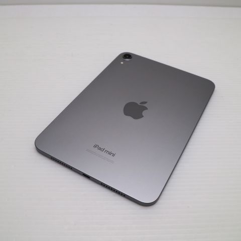 �¿��ݾ� ����Ʊ�� iPad mini��7����(A17Pro)Wi-Fi 256GB ���ڡ������쥤