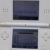 ¿ݾ  ˥ƥɡDS Lite 饤 ۥ磻  