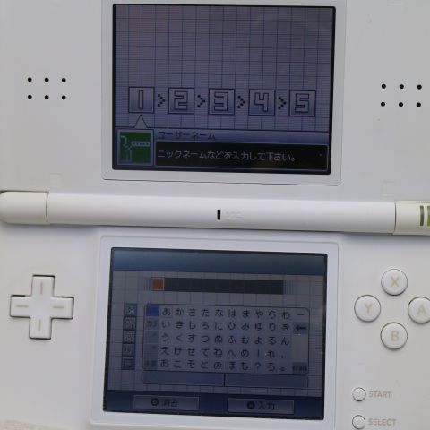¿ݾ  ˥ƥɡDS Lite 饤 ۥ磻  