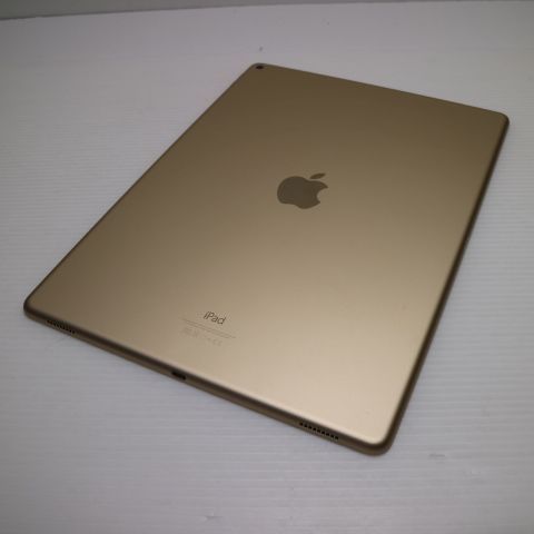 �¿��ݾ��� Ķ���� iPad Pro 12.9����� Wi-Fi 128GB �������  �������