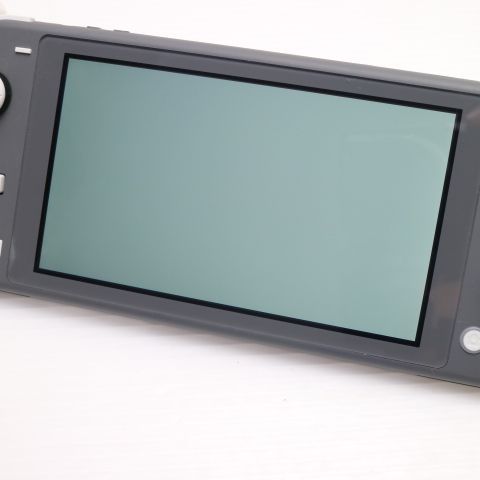¿ݾ Ķ Nintendo Switch Lite 졼