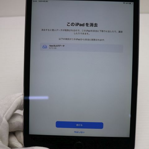 Ķ���� SIM�ե꡼ iPad mini 4 Cellular 128GB ���ڡ������쥤
