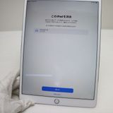 Ķ���� SIM�ե꡼ iPad Pro 10.5����� Wi-Fi+����顼  256GB ����С�