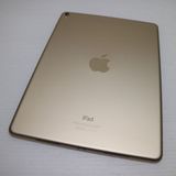 �¿��ݾ� Ķ���� iPad Pro 9.7����� Wi-Fi 128GB ������� ����