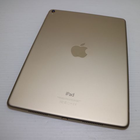 �¿��ݾ� Ķ���� iPad Pro 9.7����� Wi-Fi 128GB ������� ����
