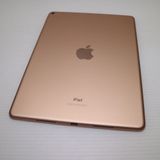 �¿��ݾ� Ķ���� iPad Air 3 wi-fi��ǥ� 64GB  �������
