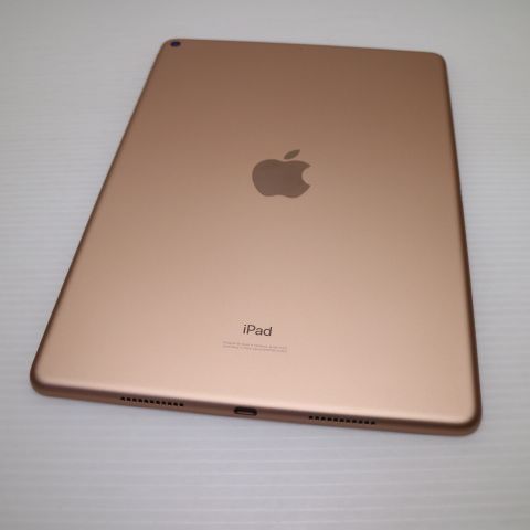 �¿��ݾ� Ķ���� iPad Air 3 wi-fi��ǥ� 64GB  �������