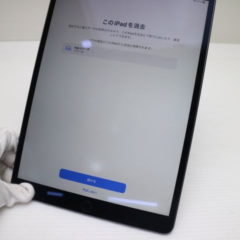 Ķ���� SIM�ե꡼ iPad Air 3 Cellular 64GB  ���ڡ������쥤 �����