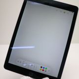 �¿��ݾ��� Ķ���� iPad Air 2 Wi-Fi 128GB ���ڡ������쥤  �������