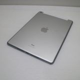 �¿��ݾ� ���� SIM�ե꡼ iPad9 ��9���� Wi-Fi+����顼  64GB ����С�