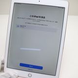 �¿��ݾ� ���� iPad Pro 9.7����� Wi-Fi 256GB �������������