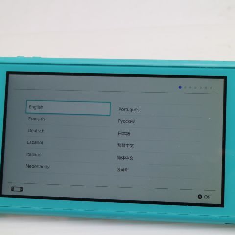 �¿��ݾ� ���� Nintendo Switch Lite ����������