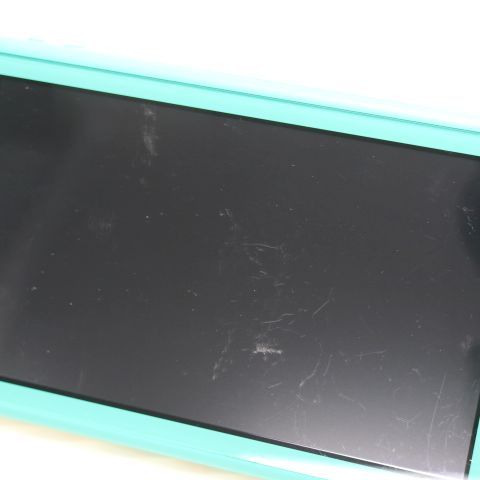 �¿��ݾ� ���� Nintendo Switch Lite ����������