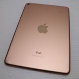 ���� iPad mini 5 Wi-Fi 256GB �������