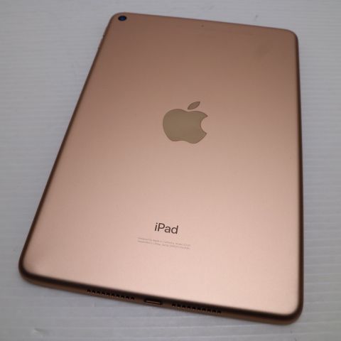���� iPad mini 5 Wi-Fi 256GB �������