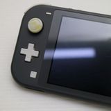 �¿��ݾ� ���� Nintendo Switch Lite ���졼
