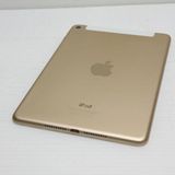 �¿��ݾ��� ����Ʊ�� SIM�ե꡼ iPad mini 4 Cellular 16GB �������