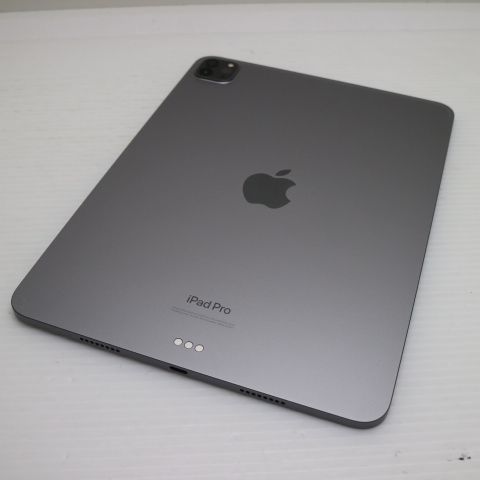 �¿��ݾ� Ķ���� iPad Pro ��4���� 11����� 256GB ���ڡ������쥤