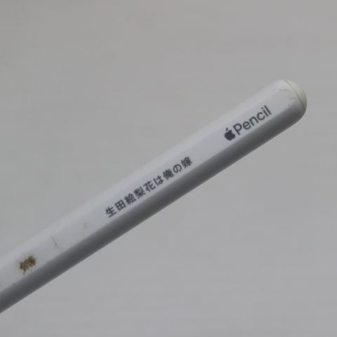 �¿��ݾ� ������� Apple Pencil ��2���� MU8F2J/A (2018) ���å��ڥ�
