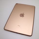Ķ���� SIM�ե꡼ iPad mini 5 Wi-Fi+����顼  256GB �������