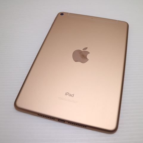 Ķ���� SIM�ե꡼ iPad mini 5 Wi-Fi+����顼  256GB �������