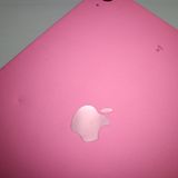 �¿��ݾ� ���� iPad ��10���� Wi-Fi 256GB �ԥ�
