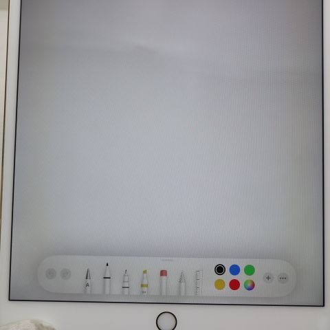 �¿��ݾ� Ķ���� iPad Pro 10.5����� Wi-Fi 256GB ������� ����