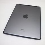 Ķ���� SIM�ե꡼ iPad9 ��9���� Wi-Fi+����顼  256GB ���ڡ������쥤