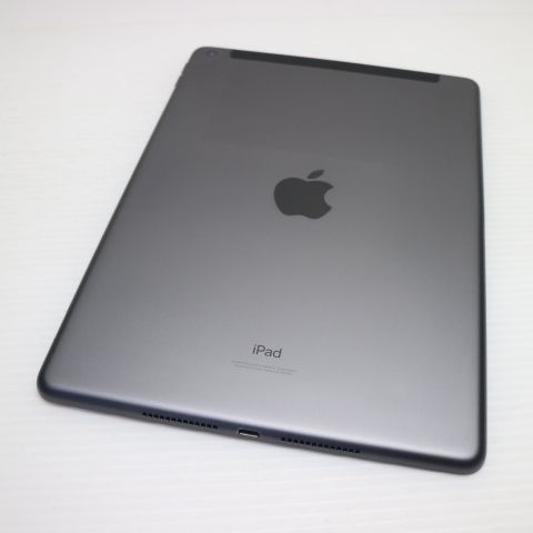 Ķ���� SIM�ե꡼ iPad9 ��9���� Wi-Fi+����顼  256GB ���ڡ������쥤