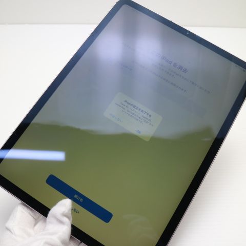  SIMե꡼ iPad Pro 2 11 128GB ڡ쥤