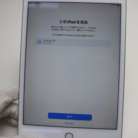 Ķ���� SIM�ե꡼ iPad mini 5 Wi-Fi+Cellular  64GB ����С�