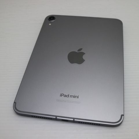 ����Ʊ�� SIM�ե꡼ iPad mini��7���� (A17Pro)����顼 128GB ���쥤