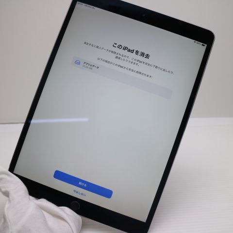 Ķ���� SIM�ե꡼ iPad Pro 10.5����� Wi-Fi+����顼  256GB ���쥤