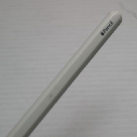 �¿��ݾ� ���� Apple Pencil ��2���� MU8F2J/A (2018) ���å��ڥ�