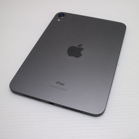 �¿��ݾ� Ķ���� iPad mini ��6���� Wi-Fi 64GB ���ڡ������쥤