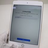 �¿��ݾ��� Ķ���� SIM�ե꡼ iPad mini 4 Cellular 64GB �������