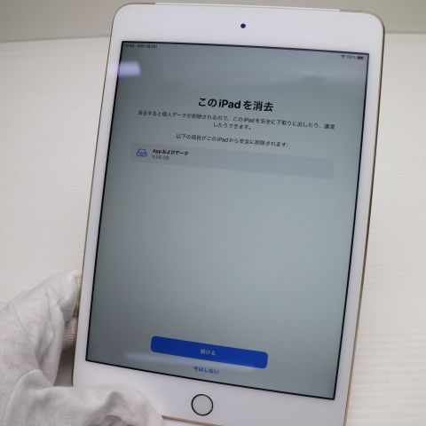 �¿��ݾ��� Ķ���� SIM�ե꡼ iPad mini 4 Cellular 64GB �������