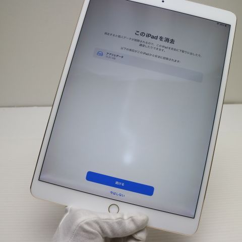 ¿ݾ Ķ SIMե꡼ iPad Pro 10.5 64GB 