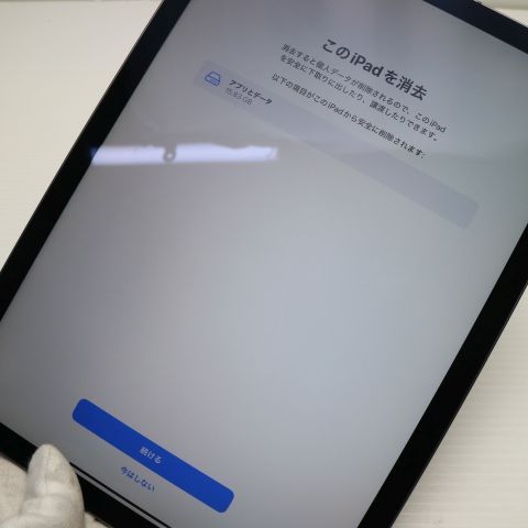 Ķ SIMե꡼ iPad Air 4 256GB ڡ쥤 ¨ȯ ȯ