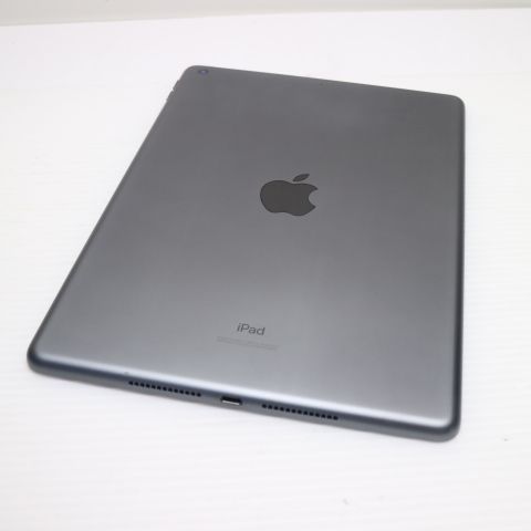 �¿��ݾ� Ķ���� iPad ��8���� Wi-Fi 128GB ���ڡ������쥤 ����������¨��ȯ��