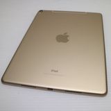 Ķ���� SIM�ե꡼ iPad Pro 10.5����� Wi-Fi+����顼  256GB �������