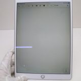 Ķ���� SIM�ե꡼ iPad Air 3 Cellular ����顼 256GB  ����С�