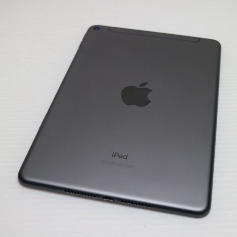 ����Ʊ�� SIM�ե꡼ iPad mini 5 Wi-Fi+����顼  256GB ���ڡ������쥤