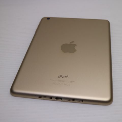 �¿��ݾ��� Ķ���� iPad mini 3 Wi-Fi 64GB �������  �������